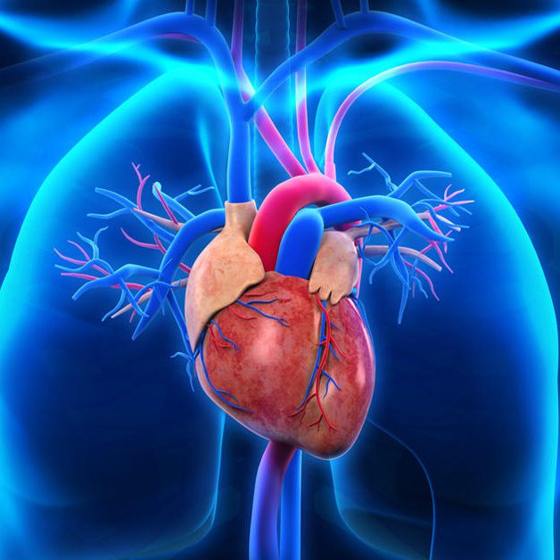 mitraclip-procedure-repairs-leaking-heart-valve mitraclip-procedure-repairs-leaking-heart-valve